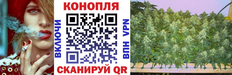 ГАШ Красково