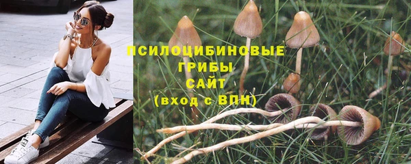 трава Абдулино