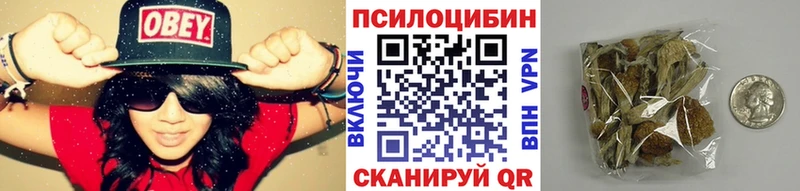 магазин  наркотиков  Красково  Псилоцибиновые грибы мицелий 
